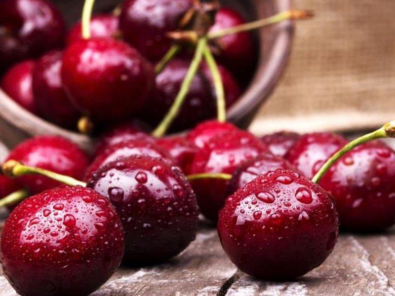Вишня купить саженцы из питомника в Омске
